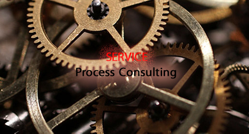 process-consulting